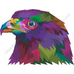 Colorful Hawk Head