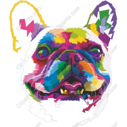 Colorful French Bulldog