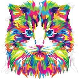 Colorful Cat Portrait