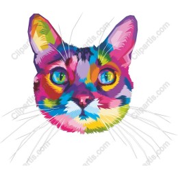 Colorful Cat Face