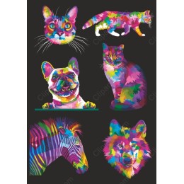 Vibrant Pet Bundle