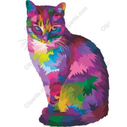 Colorful Cat