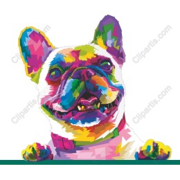 Vibrant French Bulldog