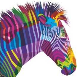 Colorful Zebra