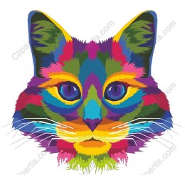 Colorful Cat Face