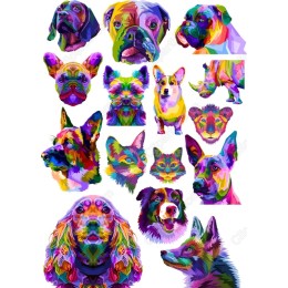 Colorful Animal - Vibrant Bundle