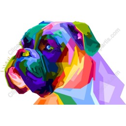 Colorful Boxer Dog