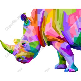 Colorful Rhino