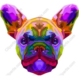 Vibrant French Bulldog