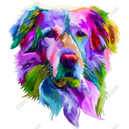 Colorful Dog Portrait