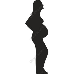 Elegant Pregnant Woman