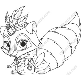 Playful Raccoon Character