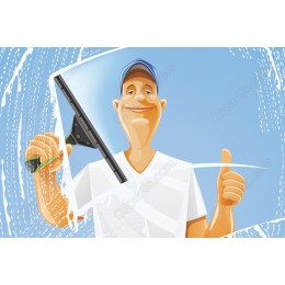 Cheerful Window Cleaner