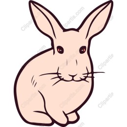 Charming Rabbit