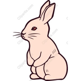 Charming Rabbit