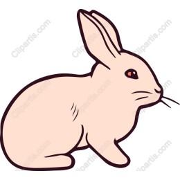 Charming Bunny