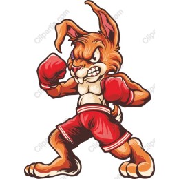Boxing Rabbit