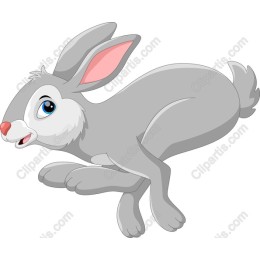 Playful Rabbit