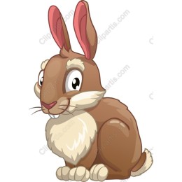 Charming Cartoon Rabbit