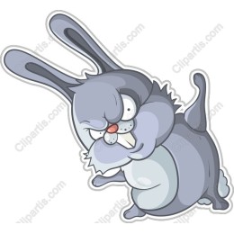 Playful Mischievous Rabbit