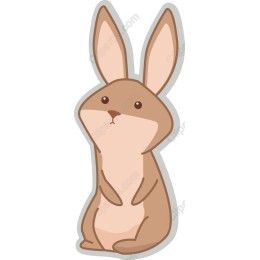 Charming Bunny Rabbit