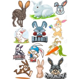 Rabbit Bundle - 12 Unique