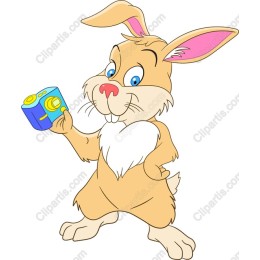 Cute Rabbit Photographer