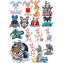 Charming Rabbit Bundle - Set