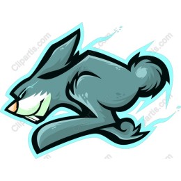 Speedy Rabbit