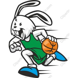 Basketball Bunny