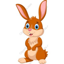 Charming Cartoon Rabbit
