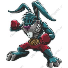 Boxing Bunny