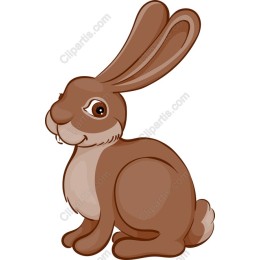 Brown Rabbit