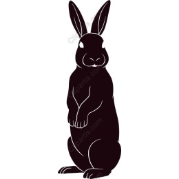 Charming Black Rabbit