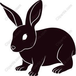 Charming Rabbit