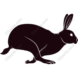 Leaping Rabbit