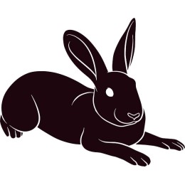 Charming Rabbit