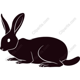 Elegant Bunny