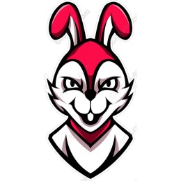 Bold Bunny Mascot