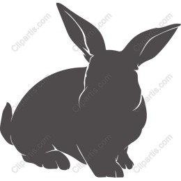 Charming Rabbit