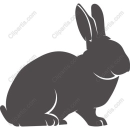Charming Rabbit