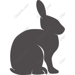 Elegant Rabbit