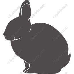 Charming Rabbit