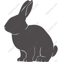 Charming Rabbit