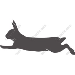 Leaping Rabbit