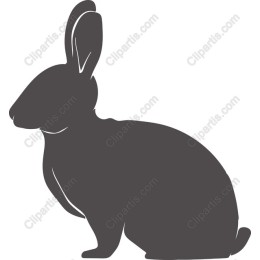 Charming Rabbit