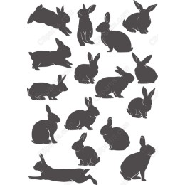 Rabbit Set