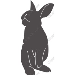Elegant Rabbit