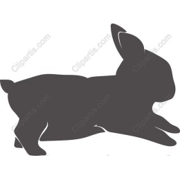Leaping Rabbit