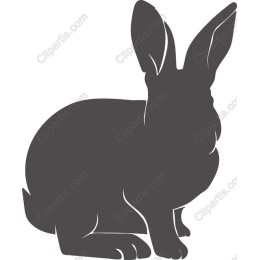 Charming Rabbit